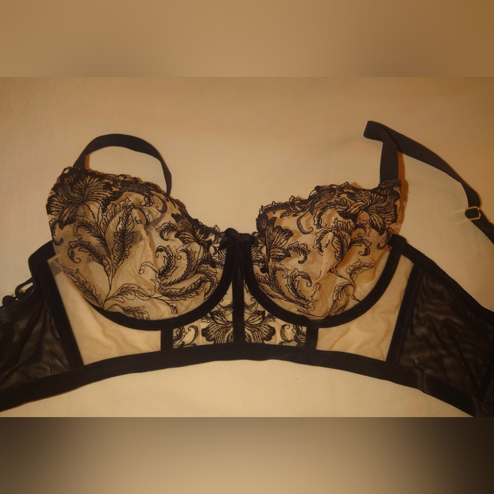 NWT Black DITA VON TEESE Nocturnelle Longline Bra 34dd Sheer Lace Balconette Hot - Picture 5 of 9